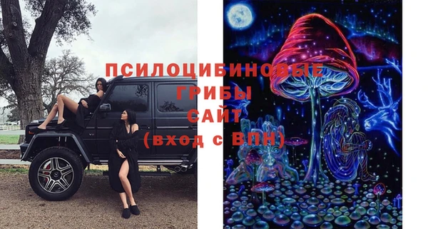 дмт Ладушкин