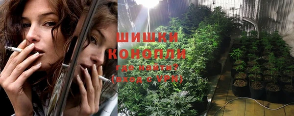 дмт Ладушкин