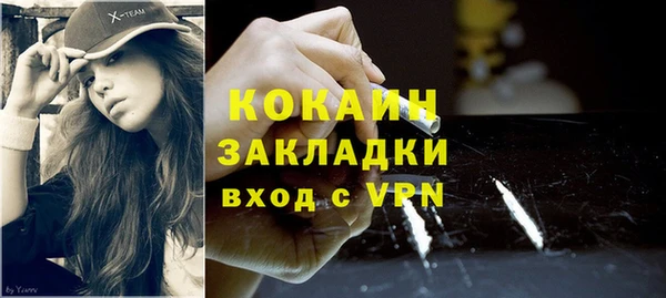 дмт Ладушкин