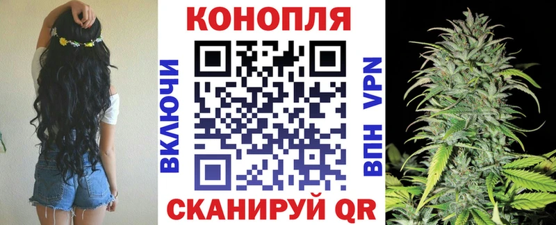 Бошки марихуана марихуана  Купить где  Лихославль 